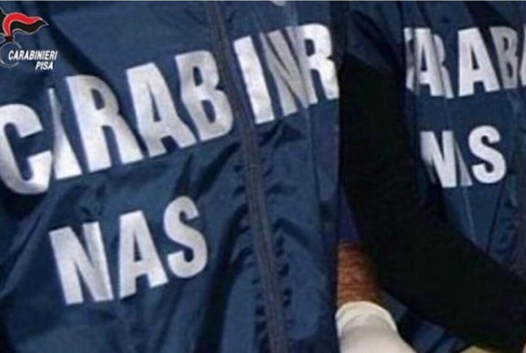 Topi e blatte nei luoghi di lavorazione: chiusa una gelateria di Marina di Pisa
