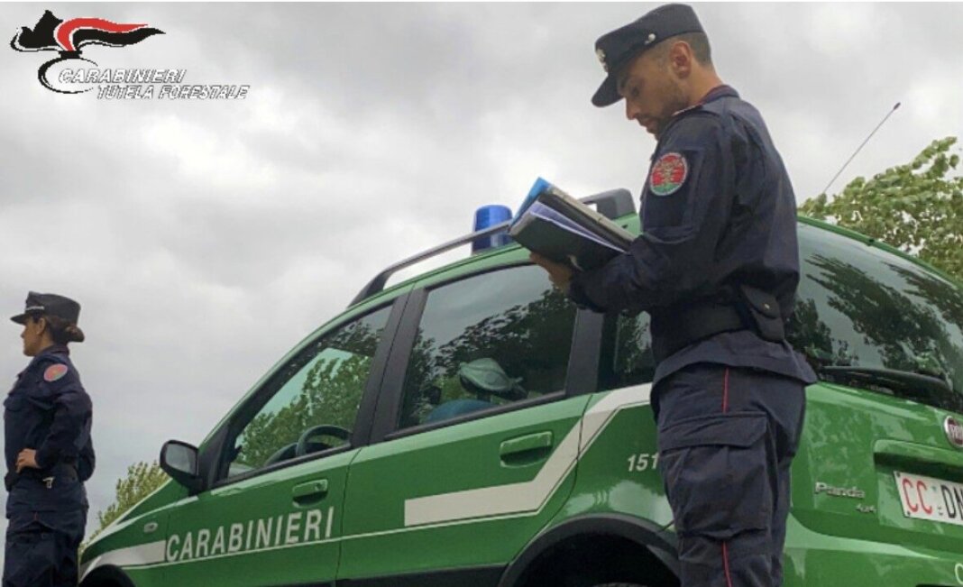 Non rottama due autocarri, multa e denuncia dai carabinieri forestali