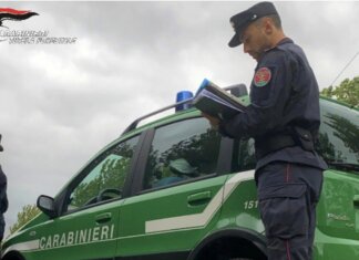 Cocaina, eroina e hashish nei boschi di San Gimignano: arrestato un 19enne senza fissa dimora