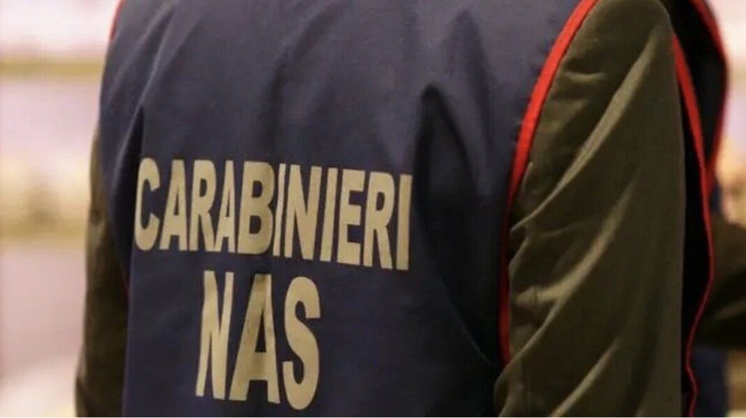 Sporco e insetti in cucina e nei bagni: multa e sigilli a un bar di Livorno