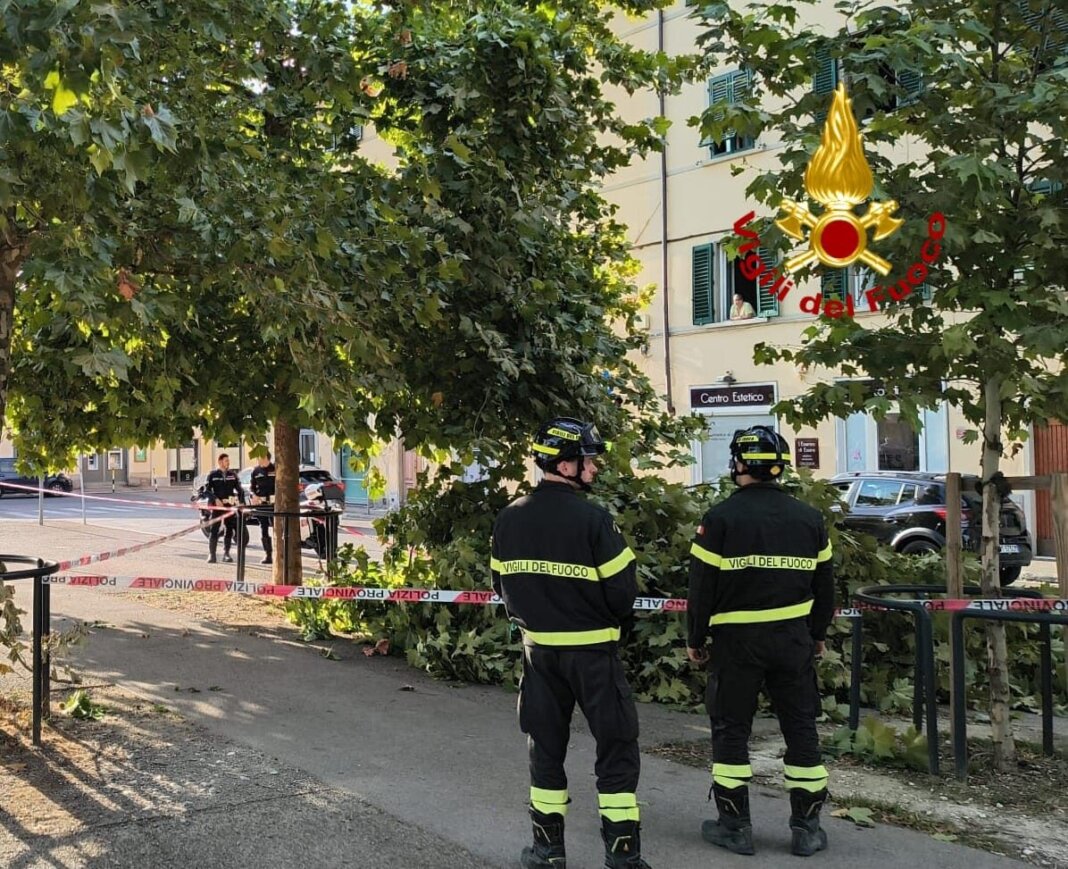 Grosso ramo ferisce a un piede una donna a Firenze