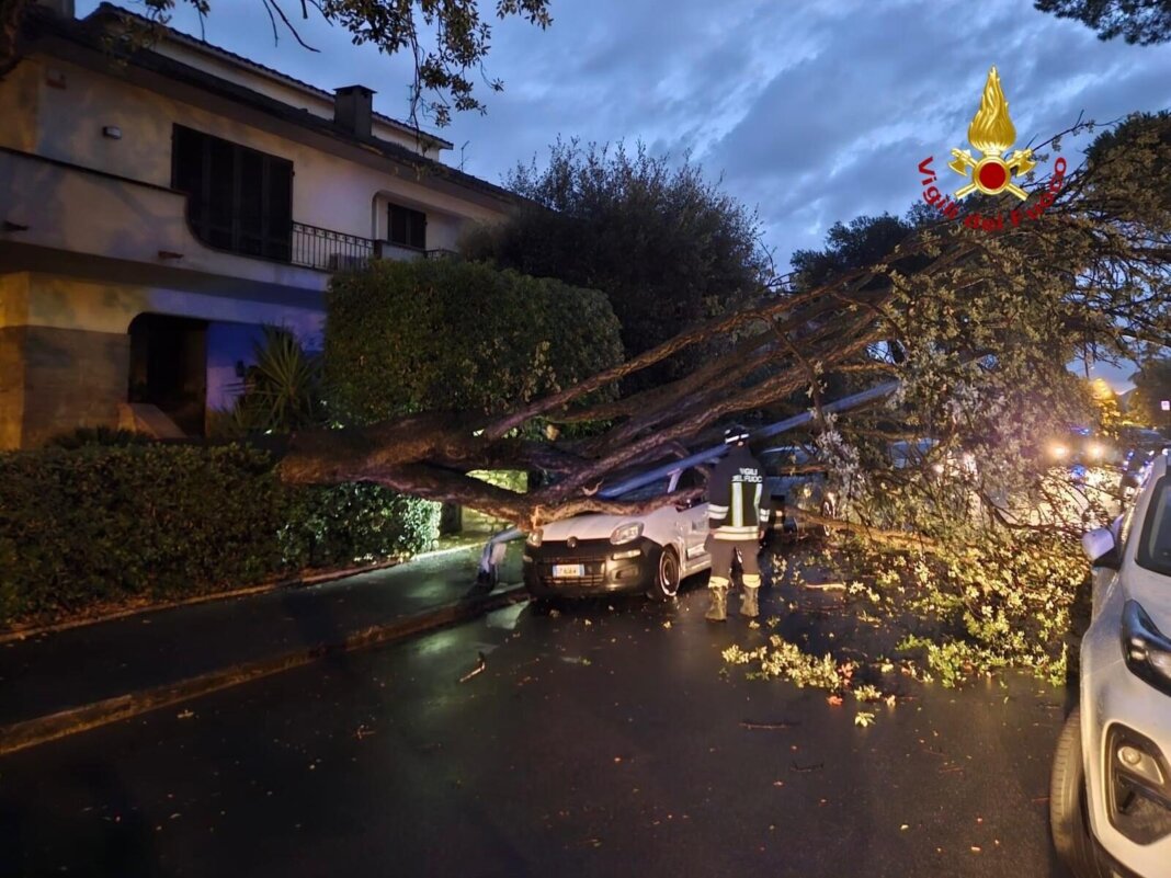 Grosseto, alberi caduti danneggiano auto in sosta