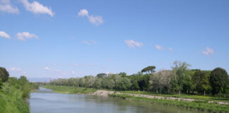 Dall’alluvione del ’66 a oggi, i segreti dell’Arno in mostra al Bright Festival con ‘Invisible Ecologies’ fiume arno