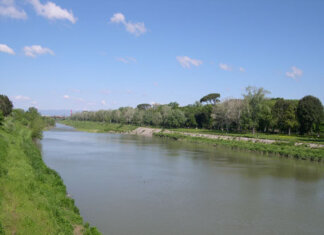 Dall’alluvione del ’66 a oggi, i segreti dell’Arno in mostra al Bright Festival con ‘Invisible Ecologies’ fiume arno