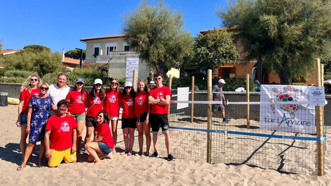 Castiglione della Pescaia si conferma luogo preferito delle tartarughe marine per la nidificazione