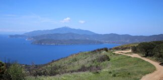 Biodiversità botanica, la Toscana tra le regioni con più nuove specie scoperte dal 2005 Arcipelago Toscano