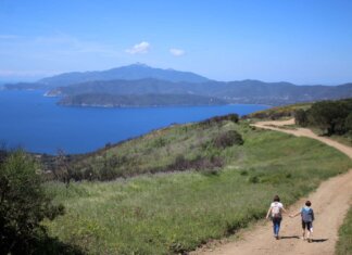 Biodiversità botanica, la Toscana tra le regioni con più nuove specie scoperte dal 2005 Arcipelago Toscano