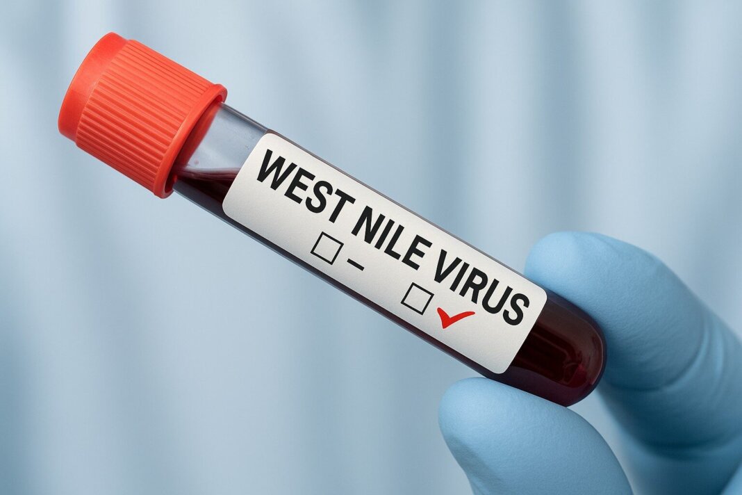 In Maremma un altro caso autoctono di West Nile virus. 