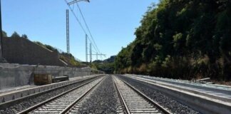Treno investe un gregge di pecore sulla Siena-Empoli: ritardi e disagi per i passeggeri