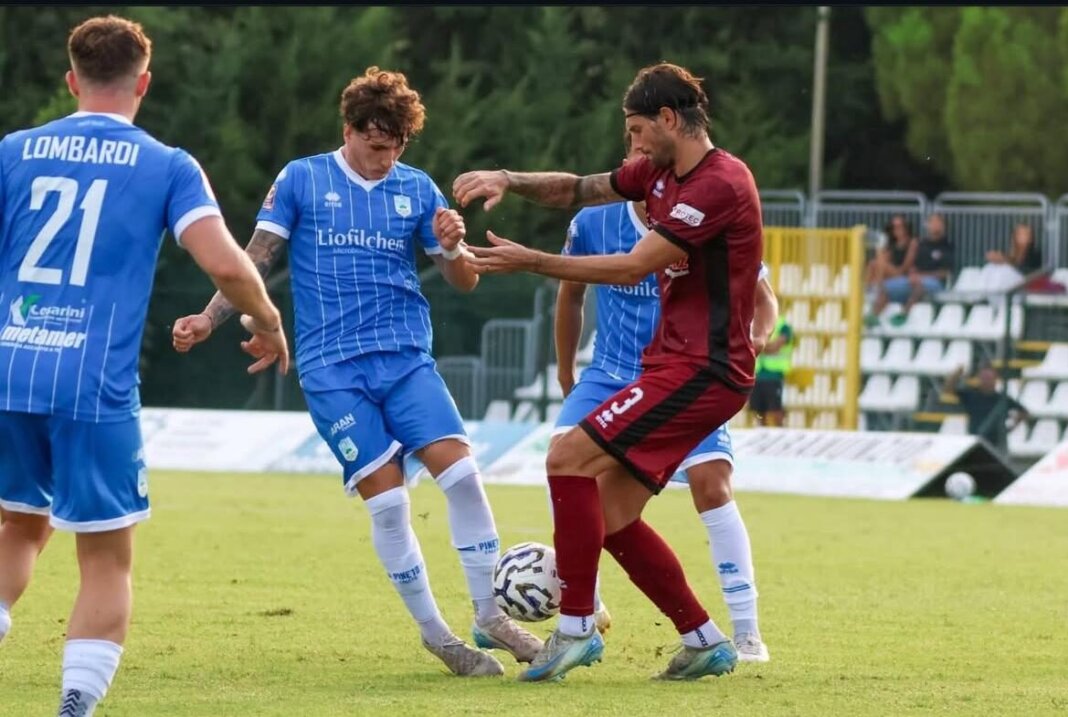 Luca Terzini Pineto Pontedera