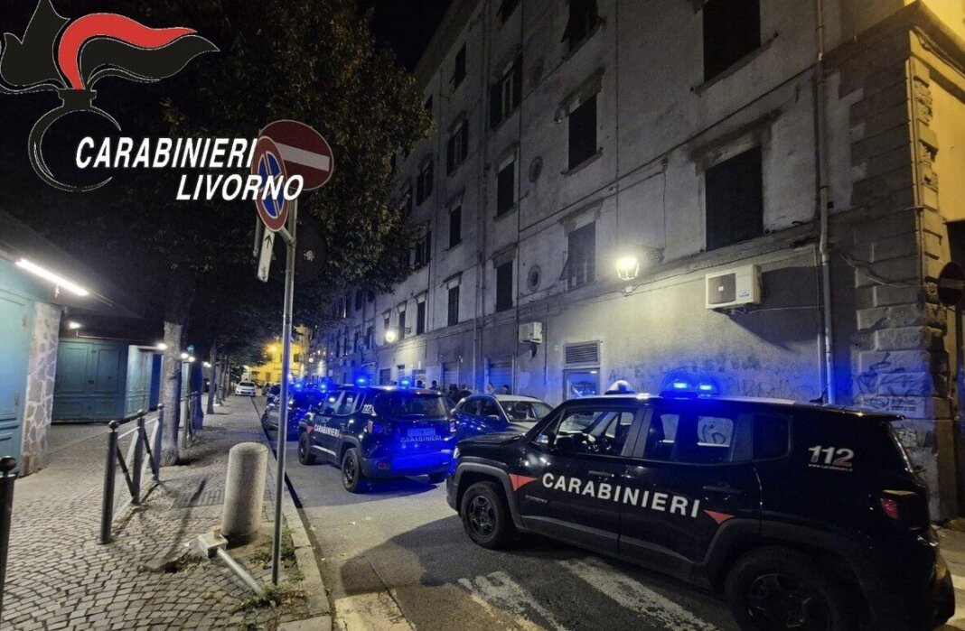 Si riprende da uno stato di incoscienza momentanea e aggredisce i carabinieri: arrestata