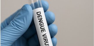 Un altro caso di Dengue in Toscana: disinfestazione a Scandicci