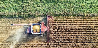 La nuova PAC contro gli incendi: l’agricoltura Ue diventa infrastruttura climatica