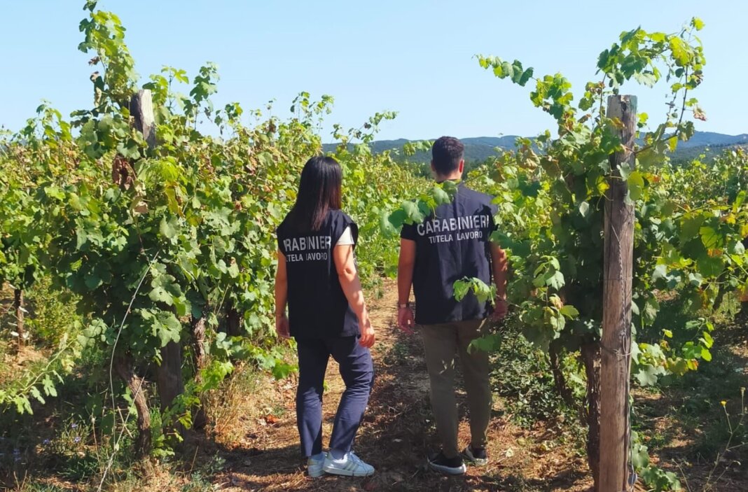 Sicurezza sul lavoro, controlli nelle aziende di Grosseto: multate tre ditte