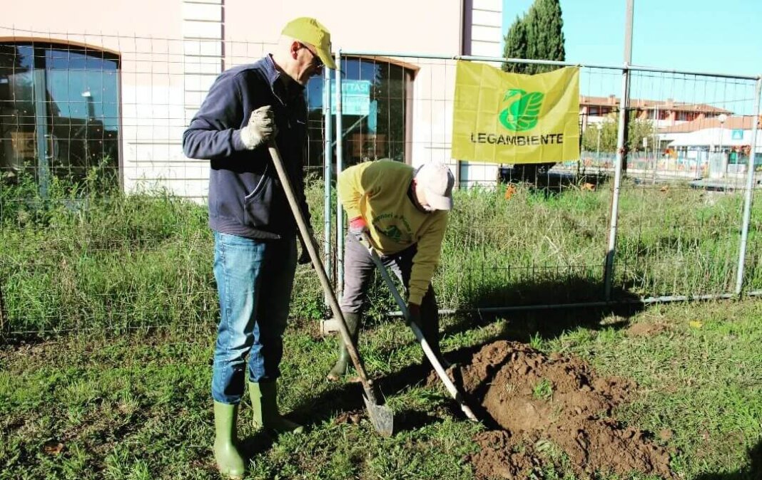 Festa dell'Albero, un weekend di appuntamenti in tutta la regione