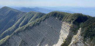La chiamata dei soccorsi e poi il silenzio: si cerca un elicottero civile al confine fra Toscana e Marche La chiamata dei soccorsi e poi il silenzio: si cerca un elicottero civile al confine fra Toscana e Marche