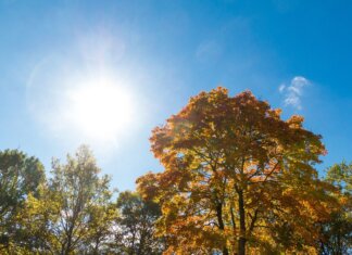 Fuga dalla città, boom per le aziende agricole: in 145mila a tavola per le feste pasquali Estate di San Martino