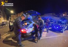 Giro di vite contro lo spaccio a Grosseto: finanzieri in campo con le unità cinofile