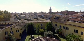 L’AI impara l’efficienza dal corpo umano: sensori ottici e circuiti analogici per le macchine del futuro