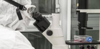 Nuovi virus creati con l’intelligenza artificiale: “E’ una svolta per produrre farmaci e terapie”