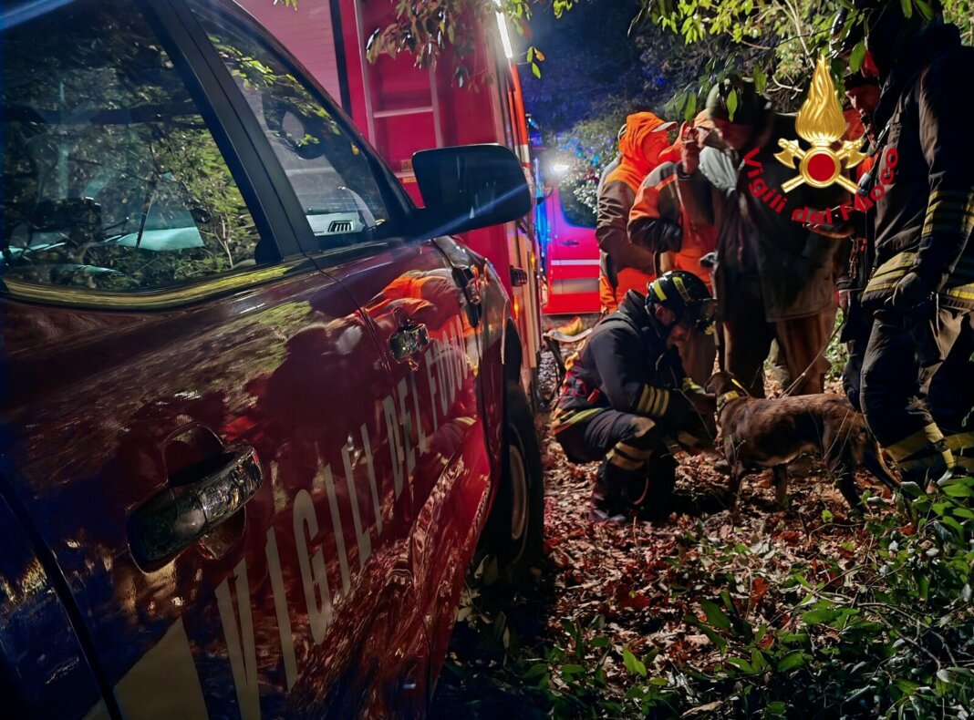 Cane da caccia cade in un dirupo: salvato dai vigili del fuoco