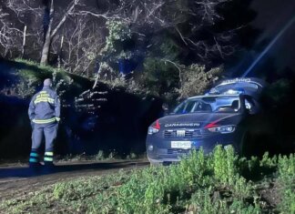 Cacciatori uccisi nel bosco a Messina, c’è un indagato