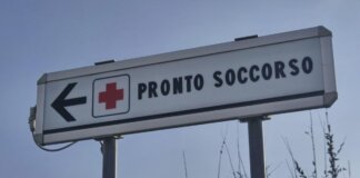 Due bambine azzannate da un cane randagio a Bari: una è in rianimazione
