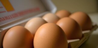 Le uova proteggono il cuore e allungano la vita, lo studio