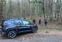 Scovato dai carabinieri un bivacco per lo spaccio a Piancastagnaio