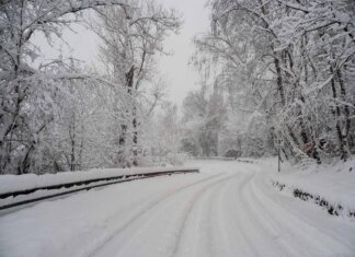 Bimbo lasciato a piedi dal bus, autista chiede scusa. Genitori: “La questione è chiusa”