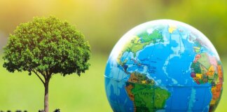 Bruxelles taglia le regole “green” per la competitività: ecco chi si salva