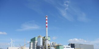 Energia, Ebs: “Biomasse solide infrastruttura strategica, non un costo da tagliare”