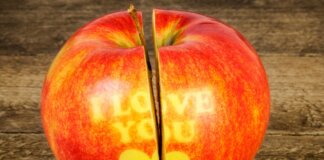 Esiste l’anima gemella? La scienza svela il mistero del “vero amore”