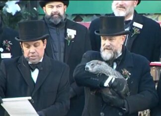 Giorno della marmotta, Phil prevede un lungo inverno (ma spesso sbaglia)