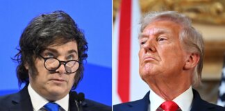 Grana e gorgonzola “made in Usa”: cosa rischia l’Italia