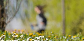 Inverno al capolinea e primavera in anticipo, esperto avverte: “Attenzione alle valanghe”