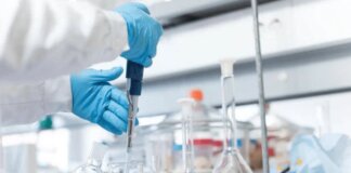 Lupus eritematoso, report: ‘servono cure integrate e personalizzate’