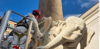 Roma, Elefante di Bernini restaurato dopo distacco della zanna