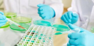 Studi no profit, nasce l’alleanza tra Fondazione Veronesi e Ficog