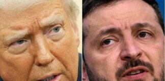 Ucraina, Trump: “Non sono un fan di Zelensky, più difficile di Putin”