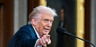 Usa, da Tribunale ok a dazi anche su piccoli pacchi di valore inferiore a 800 dollari
