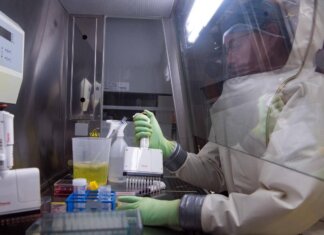 Virus Nipah, studio italiano: sorveglianza in tempo reale per prevenire nuovi focolai