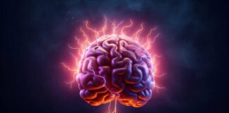 Anche sazi non resistiamo agli spuntini, la scienza svela il perché