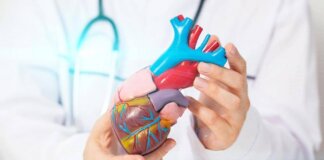 Cardiomiopatia ipertrofica ostruttiva: “Terapia innovativa efficace e sicura a 5 anni”