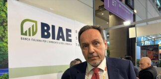 Cavallero (Biae): “Prima banca focalizzata su energie alternative e transizione”