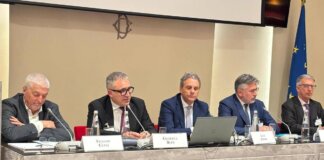 Energia, Bufo (Iren): “Stop Ue a Ppp taglia trasversalmente settori, va trovata soluzione”