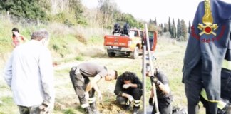 Cane rimane incastrato in un tubo: salvato dai vigili del fuoco