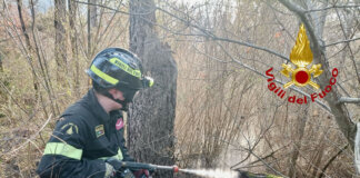 Fiamme nel bosco a Castel Focognano: in azione vigili del fuoco e volontari Aib