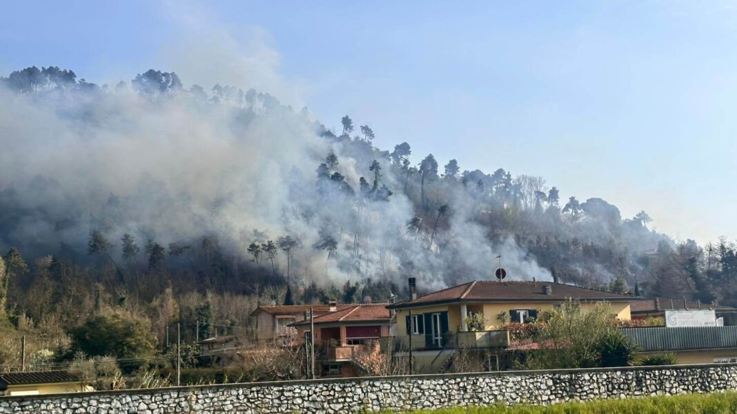 Camaiore incendio Vigili del Fuoco Monte Moneta