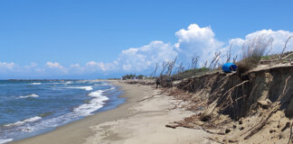 Erosione e pressione antropica: lo studio dell’università di Pisa certifica la progressiva scomparsa del litorale san rossore erosione